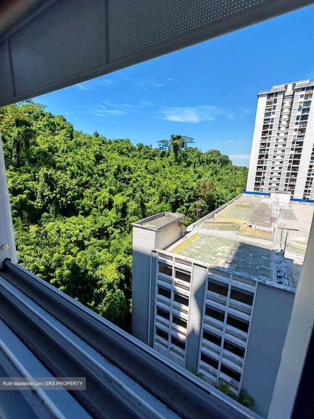 Blk 111B Depot Heights (Bukit Merah), HDB 4 Rooms #528467931